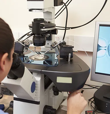 Intra Cytoplasmic Sperm Injection